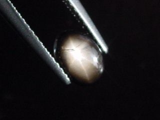 Sternsaphir 1,10 Ct. schwarz golden 7 x 5 mm Oval Cabochon