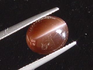 Scapolite Catseye 4,91 Ct. brown cabochon Madag.