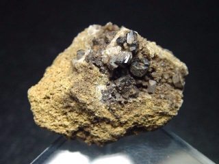 Babingtonite specimen 34 mm - Oyna, Froland, Sweden