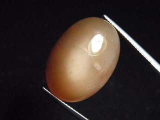 Moonstone brown 28,06 Ct. oval cabochon