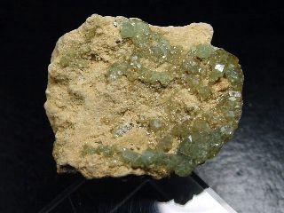 Preview: Demantoid specimen 38 mm - fine crystals - Madag.