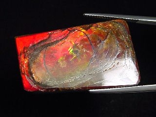Ammolite 39,48 Ct. multicolor - fancy cabochon 36 mm