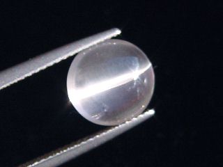 Skapolite cat's eye 2,93 Ct. colorless round cabochon Tanzania