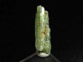 Kyanit / Disthen - 28 mm grüner Kristall - Tansania