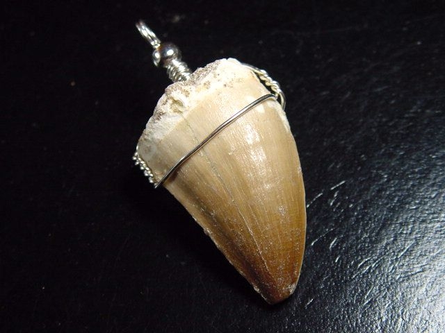 Mosasaur tooth pendant 925 silver - 5,2 cm - Mosasaurus Dinosaur