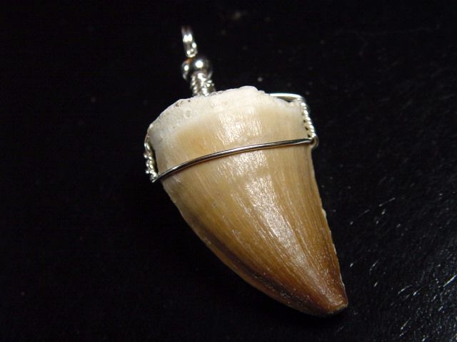 Mosasaur tooth pendant 925 silver - 5,2 cm - Mosasaurus Dinosaur