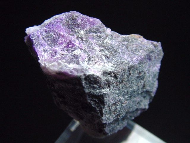 Sugilit Stufe 27 mm - Wessels mine, Kuruman, Südafrika