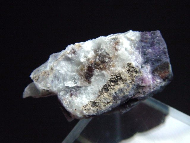 Sugilit Stufe 27 mm - Wessels mine, Kuruman, Südafrika