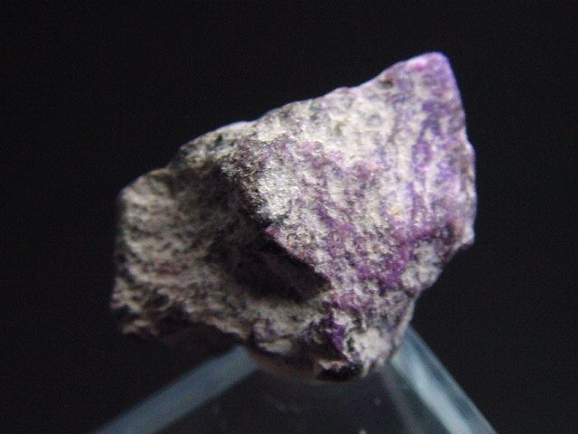 Sugilit Stufe 17 mm - Wessels mine, Kuruman, Südafrika