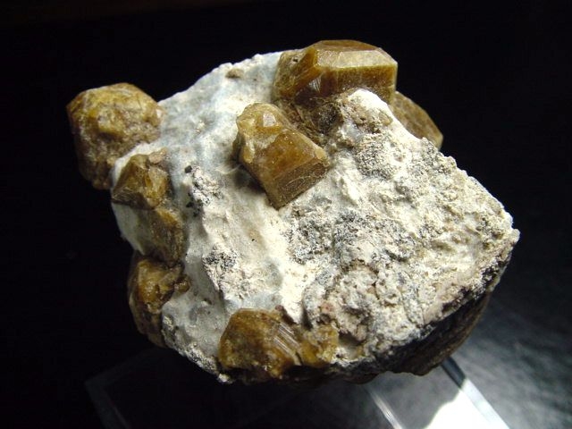 Vesuvianit Stufe 51 mm - Sierra de Cruces, Mexiko