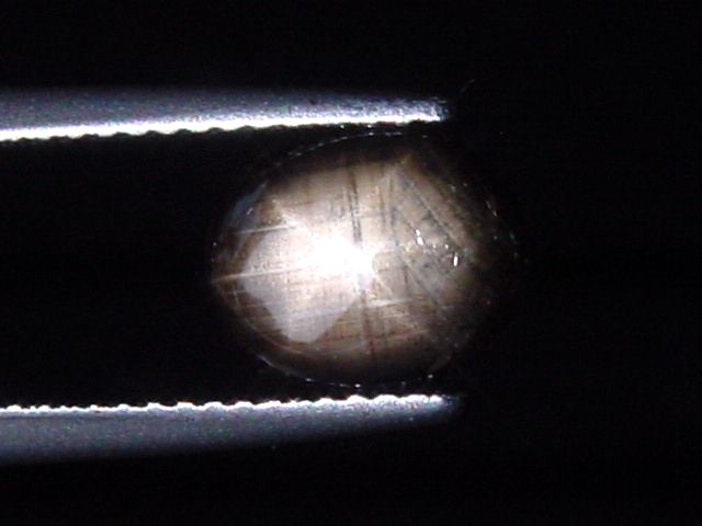 Sternsaphir 2,34 Ct. schwarz golden 9 x 7,5 mm Oval Cabochon