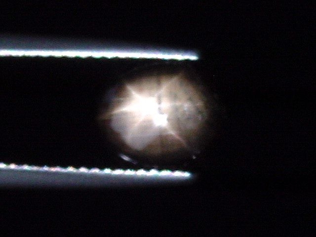 Sternsaphir 2,34 Ct. schwarz golden 9 x 7,5 mm Oval Cabochon