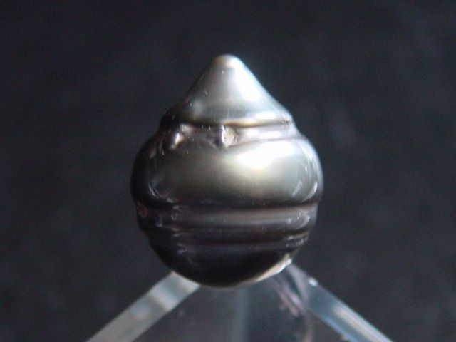 Black Tahitian Pearl 13,5 mm loose undrilled - French Polynesia