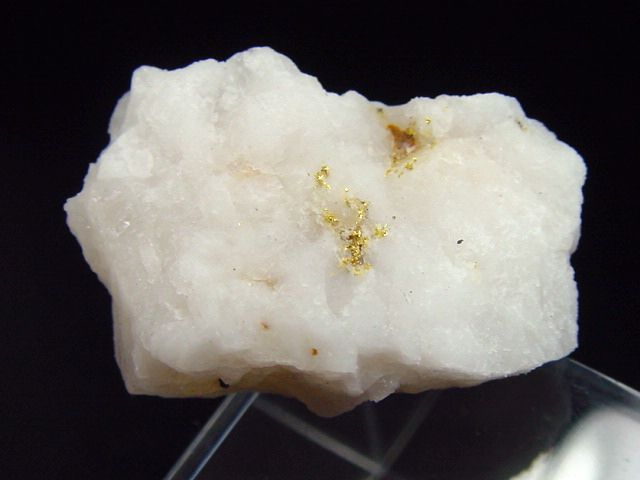 Gold kristallin in Quarz / Goldstufe 34 mm Brusson, Val d'Aosta, Italien