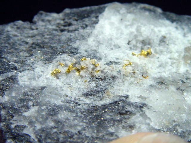 Gold kristallin in Quarz / Goldstufe 61 mm Brusson, Val d'Aosta, Italien