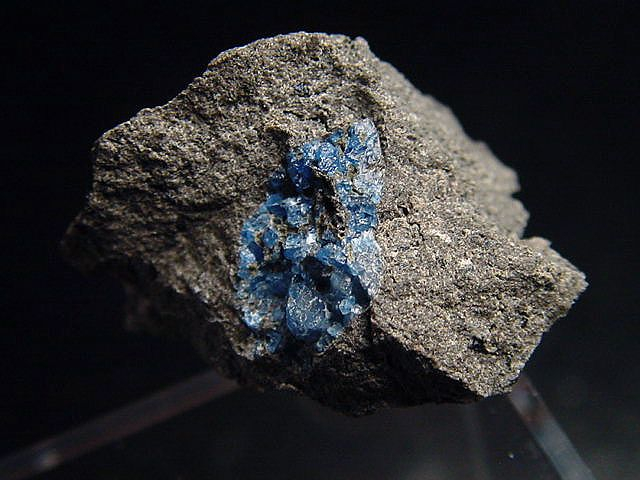 Hauyn / Hauynit Stufe 28 mm - Laacher See, Eifel, Deutschland