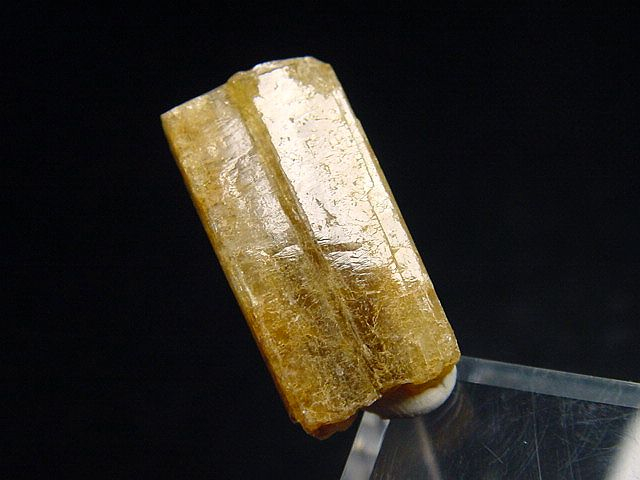 Diopsid Kristall 23,5 mm - Orford, Quebec, Kanada