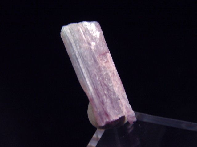 Paraiba Tourmaline crystal / Cupro Elbaite 21 mm Brazil