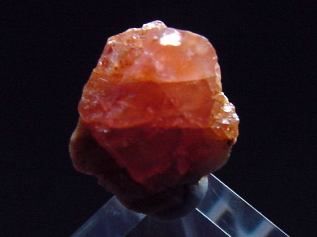 Pezzottait Kristall 8,5 mm selten - Ambatovita, Madag.