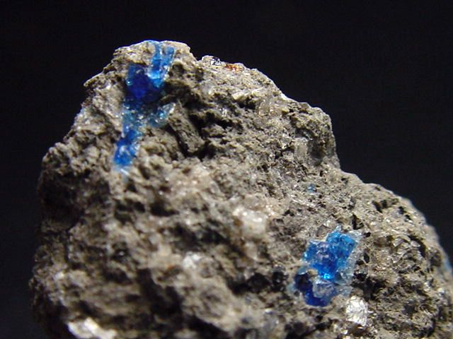 Hauyn / Hauynit Stufe 26 mm - Laacher See, Eifel, Deutschland