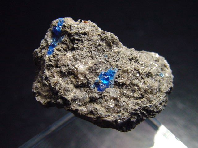 Hauyn / Hauynit Stufe 26 mm - Laacher See, Eifel, Deutschland