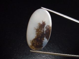 Landscape Agate 15,03 Ct. oval - Brazil