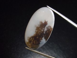 Landscape Agate 15,03 Ct. oval - Brazil