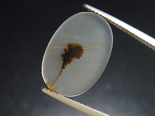 Landscape Agate 3,72 Ct. oval - Brazil