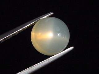 Sternmondstein / Stern Mondstein 8,61 Ct. feiner Stern Rund Cabochon