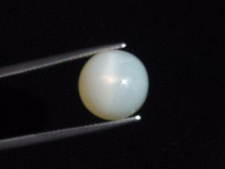 Sternmondstein / Stern Mondstein 9,26 Ct. heller Stern Rund Cabochon