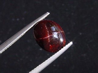 Star Garnet 6,88 Ct. four ray star cabochon India fine