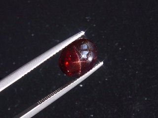 Star Garnet 6,88 Ct. four ray star cabochon India fine