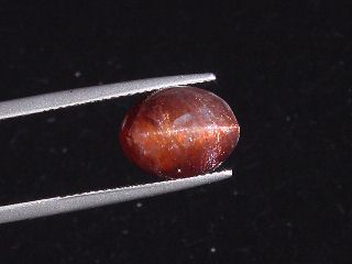 Iolite / Cordierite cat's eye 6,83 Ct. oval cabochon India