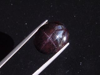 Star Garnet 19,41 Ct. four ray star cabochon India