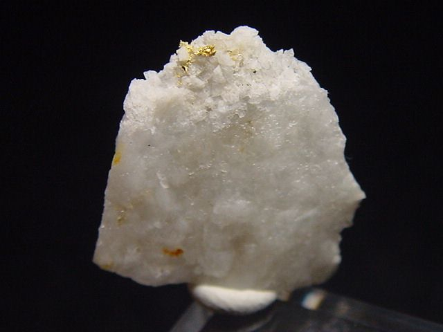 Gold kristallin in Quarz / Goldstufe 21 mm - Brusson, Val d'Aosta, Italien