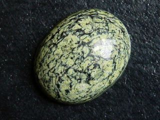 Nephrite Jade in Serpentinite 31,45 Ct. cabochon Canada