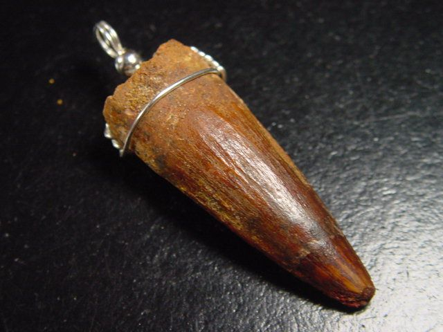 Spinosaurus tooth pendant 925 silver - 5,4 cm - Spinosaur Dinosaur