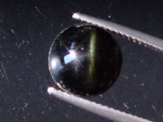 Enstatite Catseye 6,09 Ct. - round cabochon - Sri Lanka