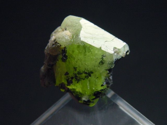 Diopsid Kristall 19 mm - Merelani, Tansania
