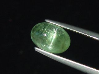 Verdelite Tourmaline cat's eye 3,45 Ct. oval cabochon Brazil