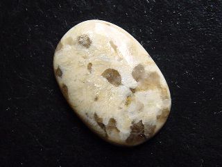 Serpentinite 29,94 Ct. oval cabochon India