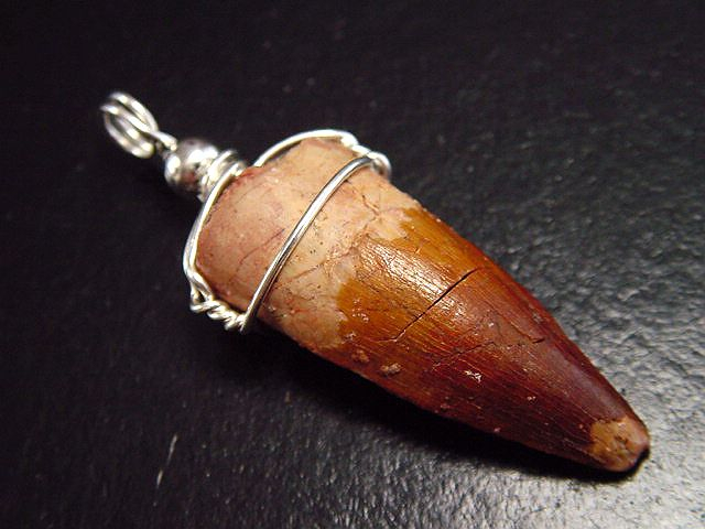 Spinosaurus tooth pendant 925 silver - 5,0 cm - Spinosaur Dinosaur