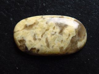 Serpentinite 39,60 Ct. oval cabochon