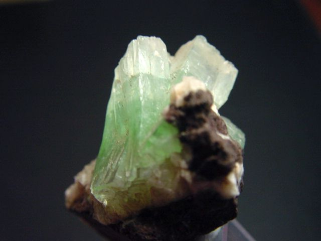 Apophyllit Stufe 40 mm zweifarbiger Kristall blaugrün Indien
