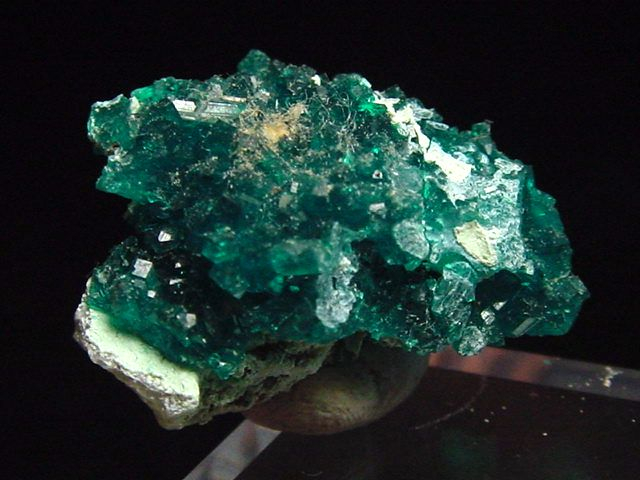 Dioptas Stufe 20 mm - Tsumeb, Namibia