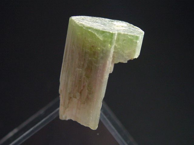Wassermelonenturmalin Kristall 28 mm - Minas Gerais, Brasilien