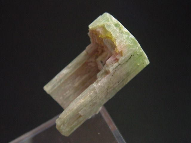 Wassermelonenturmalin Kristall 28 mm - Minas Gerais, Brasilien