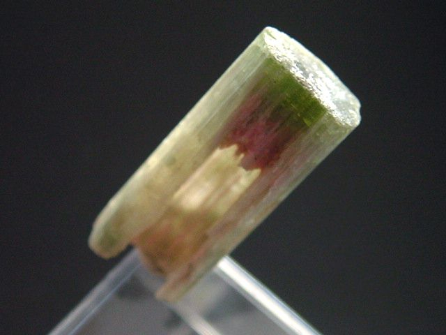 Wassermelonenturmalin Kristall 27 mm - Minas Gerais, Brasilien