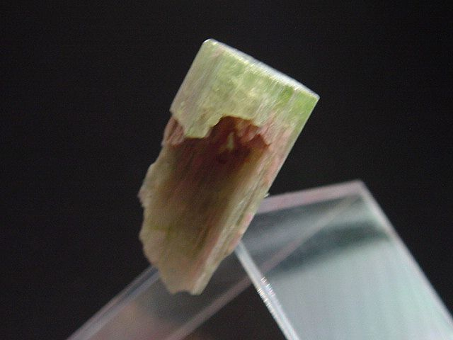 Wassermelonenturmalin Kristall 29 mm - Minas Gerais, Brasilien