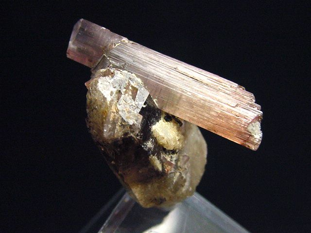 Watermelon Tourmaline specimen 23 mm Brazil